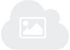 Energy From Waste (EfW)