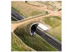 asset - BEBO Green Bridge