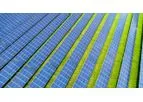 Solar Panel Recycling Services