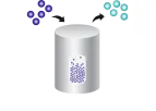 Fluidized Bed Reactor