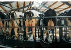 Rural Electrical Services