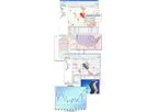 IIT - Version eRouteLogistics - Territory Division Software for Grid Systems