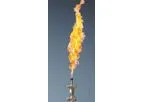 Elevated Flares
