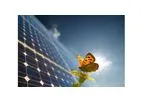 Energy Management Services