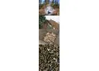 HM3 - Biocoal Technology - Biocoal from Forest Waste