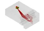Sonomatic - Inspection Modelling Software