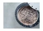 Biogascleans QSR - Biological Desulfurization Process System