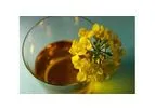 Biowork’s Biodiesel Production