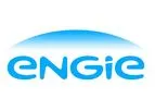 Cogeneration Capabilities Services