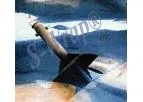 Online Sealing of Hydrocarbon Leak in Storage Tanks Service