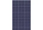 Dokio - Model DSP-250P - Mono-Crystalline Solar Module