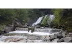 Renewable Energy Project Management Services for Hydroelectric Projects
