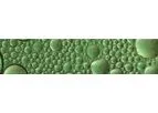Biological - Biomethane Fuel