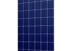 Perlight Solar - Model PLM-325P-72 Series - Polycrystalline Solar Module