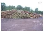 Biomass Treatment Services