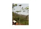 Solar Street Lighting Systems