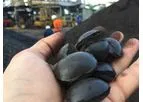 ACAN - Binderless Coal Briquetting