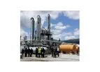 Biomass or Waste Combustion Systems