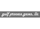Gulf Gases - Model Synforming - Syngas, Hydrogen Or Carbon Monoxide Process