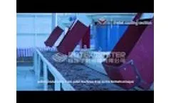 Asia Biggest Wood Pellet Production Line and Biomass Pellet Line With 20t Per Hour Video