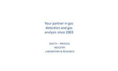 Model Gasboard-3100P - Portable Infrared Syngas Analyzer - Datasheet