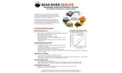 BRZ - Zeolite for Anaerobic Digesters - Brochure