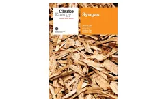 Synthesis Gas, Syngas, Wood Gas, Producer Gas - Brochure