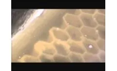 Close Up Look of FAST System with SFR - Video