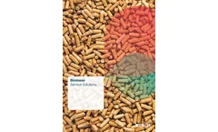 Buhler - Wood & Biomass Pelleting Plant Brochure