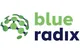 Blue Radix B.V.