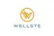 Wellste Aluminum