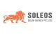 Soleos Solar Energy Pvt Ltd