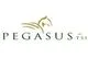 PegasusTSI, Inc.