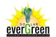 Evergreen Solar