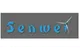 Senwei Energy Technology Inc