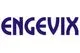 Engevix Engenharia SA