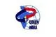 Cogeneration Association of India