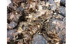 Energy from biomass production for the waste to energy industry