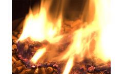 Wood Pellet Production Line Supplier