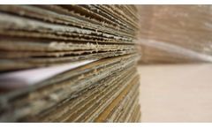 Harvest biomass for renewable energy solutions for paper industry