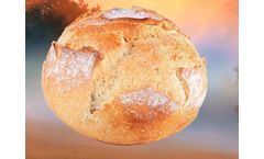 Dry Mist Technology for Bread