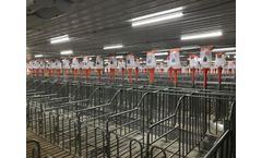 Effects of Lighting Technology on Pig Welfare and Performance
