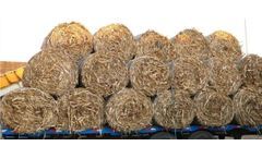 In Three Years, Biomass Fuel Will Be Cement & Coal Plants’ Must-Have 'New Coal'!"