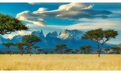 New Study Confirms EUR 1 Trillion Africa's Extraordinary Green Hydrogen Potential