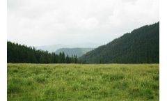 U.S. Announces New Actions for Clean Energy on Public Lands