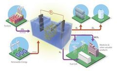 Carbon-Capture Batteries Developed to Store Renewable Energy