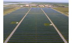 City of Fresno, ForeFront Power Complete Largest Commercial Solar/Battery Storage Portfolio in U.S.