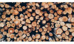 Horizontal Shaft Mixer for Biomass Power