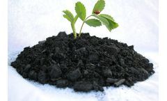 Advantages of Investing in a Coconut Shell Charcoal Making Machine