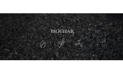 Power of Biochar Pyrolysis in Carbon Removal